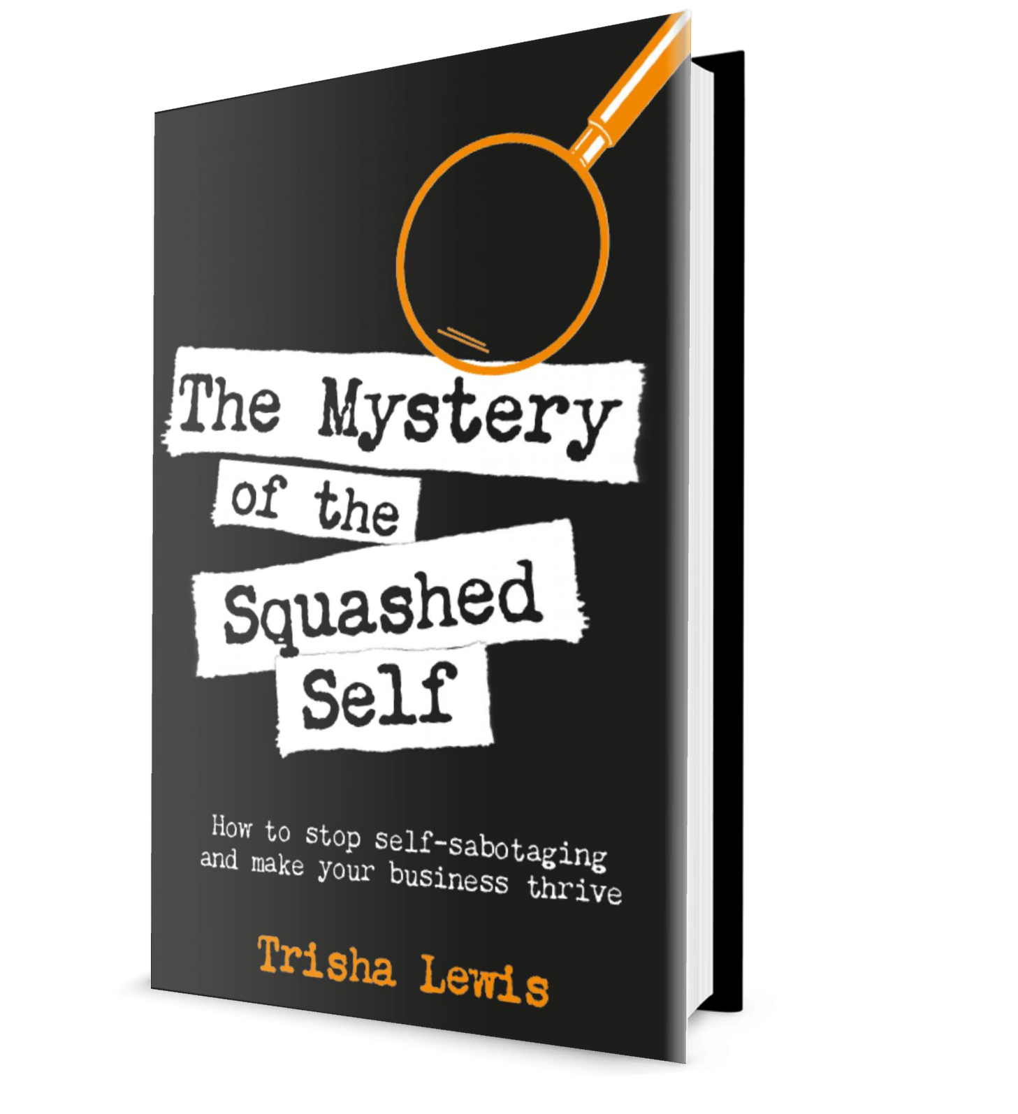 The Mystery of the Squashed Self Book cover